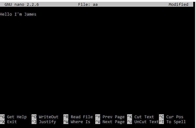 edit text file in terminal raspberry pi