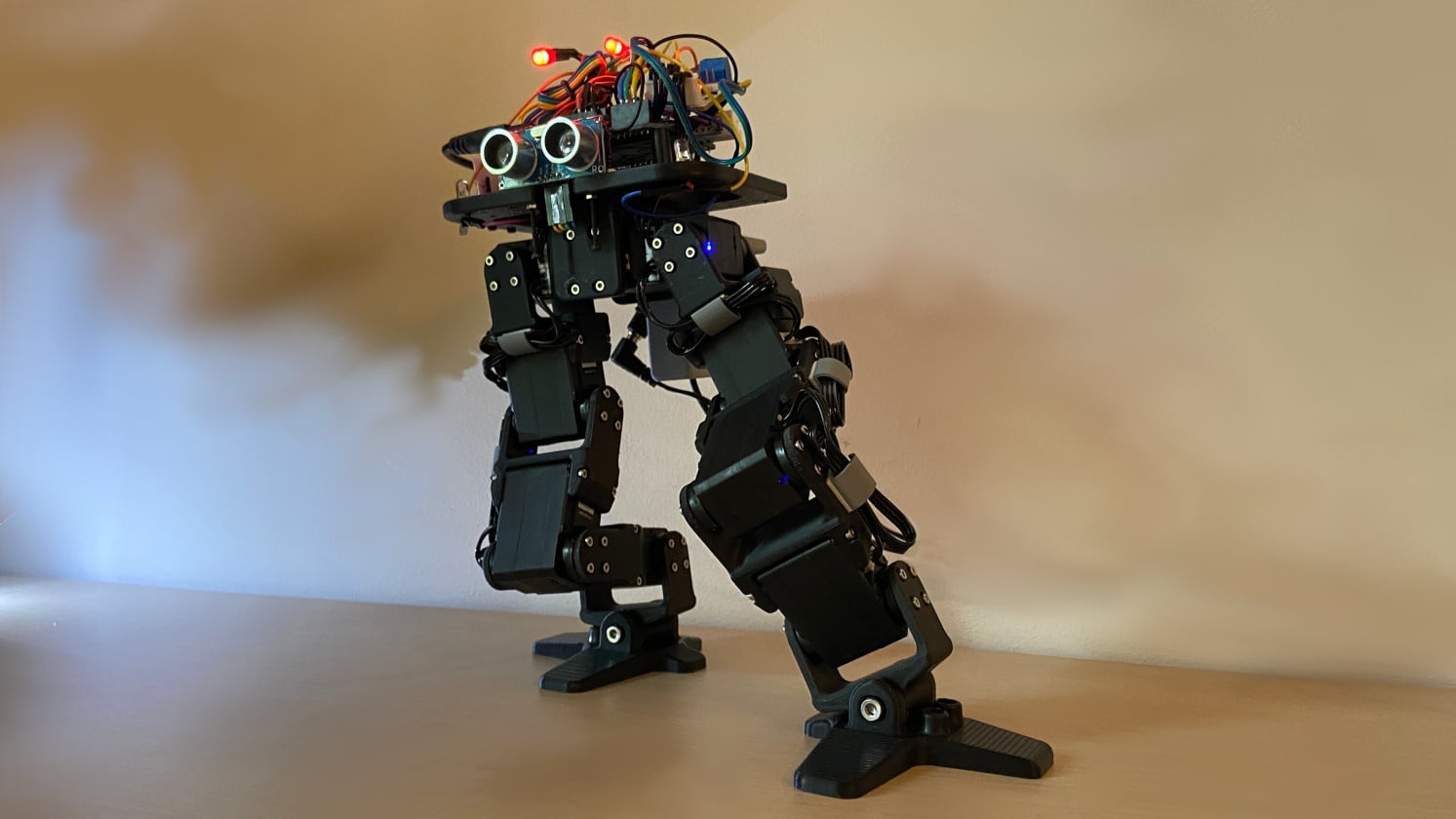 Nix Robot - DIY Humanoid
