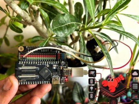 ESP Claw with DFRobot ESP32 P4 Dev Kit