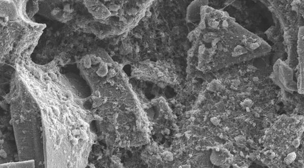 A scanning electron microscope’s photograph of the University of Eastern Finland’s (UEF) hybrid material, created in the interest of improving lithium-ion battery performance.