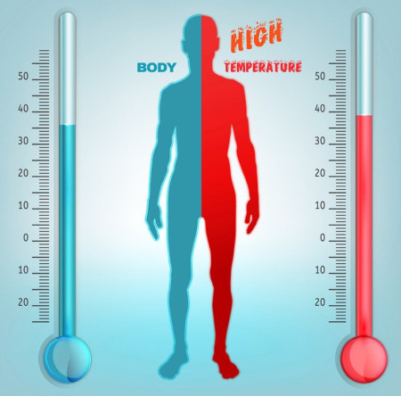 HUMAN Temperature (MLX9061) with  OLED