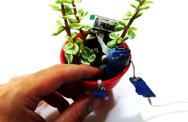 Make Your Plant SMART! By Arduino | Arduino | Maker Pro
